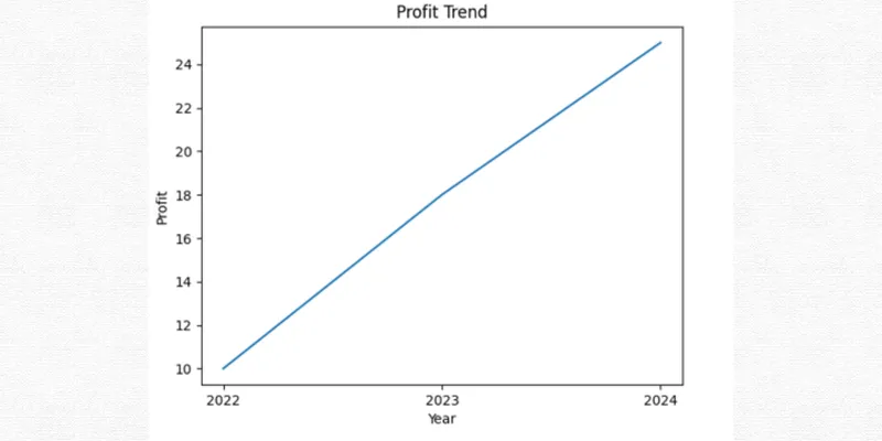 R B DENIMS COMPANY FINANCIAL AND BUSINESS ANALYSIS REPORT